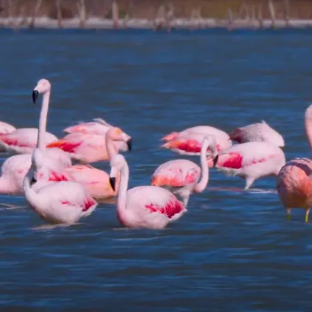 Ca Na Vinyet Tatil Evi *