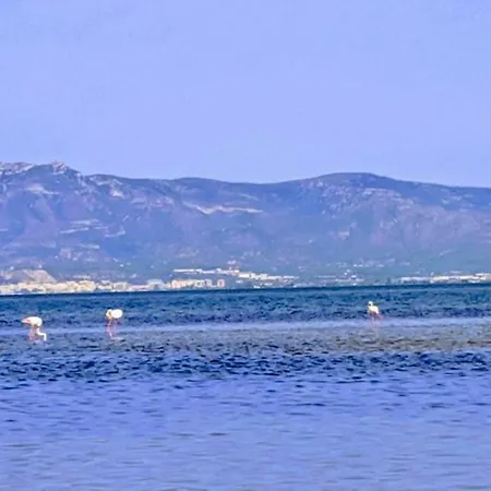 Ca Na Vinyet Holiday home