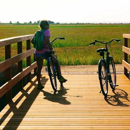 Ca Na Vinyet Holiday home El Poblenou del Delta