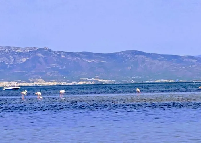 Ca Na Vinyet Holiday home