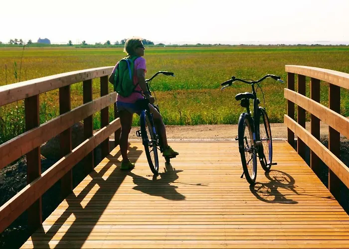 Ca Na Vinyet Holiday home El Poblenou del Delta