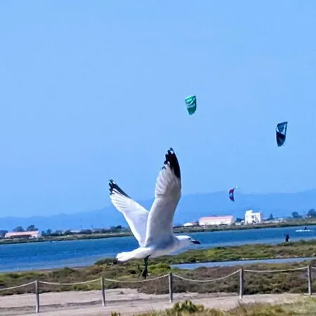 Сasa de vacaciones Ca Na Vinyet *